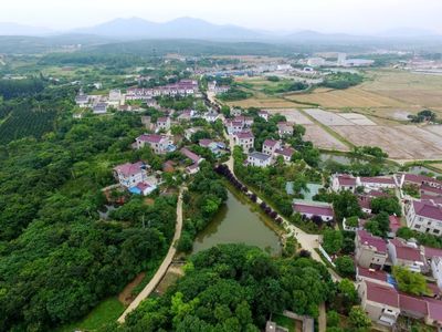 植綠不止，春山可望！馬鞍山市這個縣扛起高質量發展“綠色擔當”